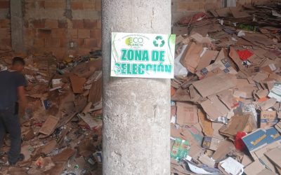 Ecas de Ecoplaneta
